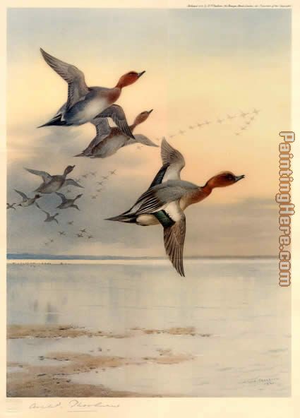 Wigeon Over the Estuary